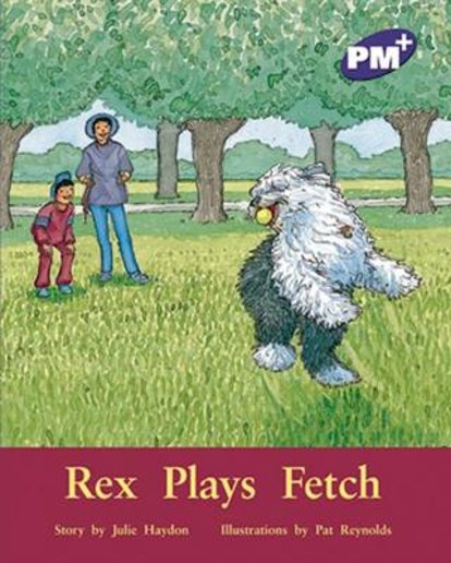 PM Purple: Rex Plays Fetch (PM Plus Storybooks) Level 19 x 6