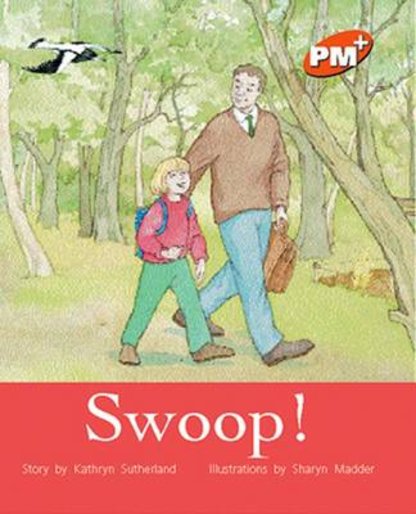 PM Orange: Swoop! (PM Plus Storybooks) Level 16 x 6