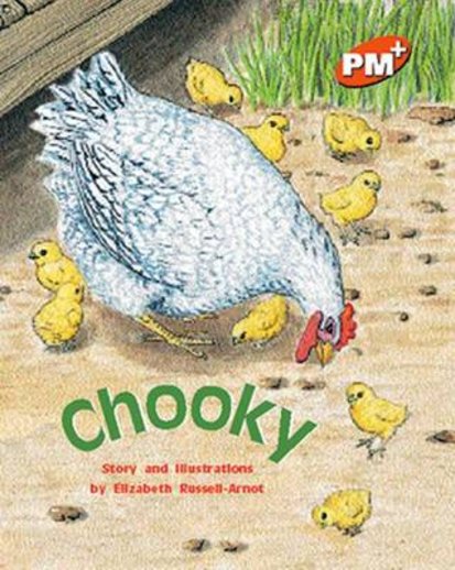 PM Orange: Chooky (PM Plus Storybooks) Level 15 x 6