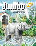 PM Yellow: Jumbo (PM Plus Storybooks) Level 8 x 6