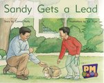 PM Yellow: Sandy Gets a Lead (PM Gems) Levels 6, 7, 8 x 6