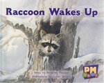 PM Red: Raccoon Wakes Up (PM Gems) Level 3 x 6