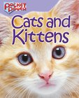 Pocket Power: Cats and Kittens