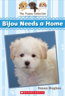 Bijou Needs a Home