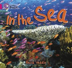 In the Sea (Book Band Pink B/1B)