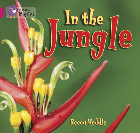 In the Jungle (Book Band Pink B/1B)