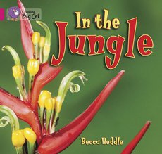 In the Jungle (Book Band Pink B/1B)