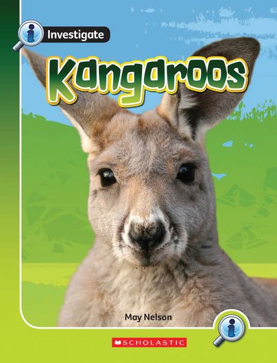 Investigate: Kangaroos x 6