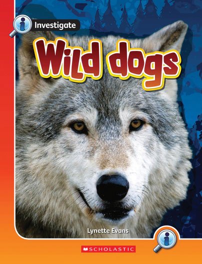 Investigate: Wild Dogs x 6