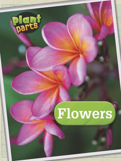 Plant Parts: Flowers