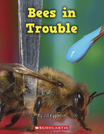 Connectors Gold: Bees in Trouble x 6