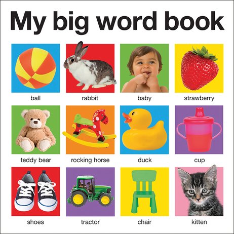 My Big Word Book