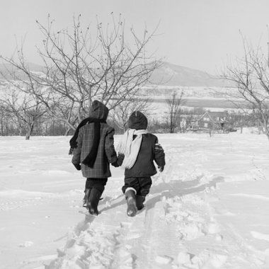Winter walk Winter walk
