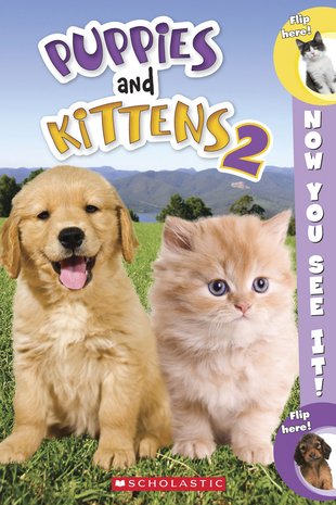 Now You See It! Puppies and Kittens 2