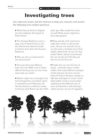 Investigating trees – research task – Primary KS2 teaching resource ...