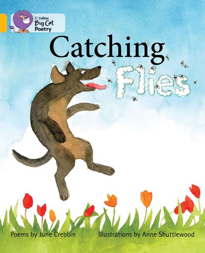 Catching Flies (Book Band Gold/9)