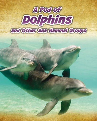 Animals in Groups: A Pod of Dolphins and Other Sea Mammal Groups