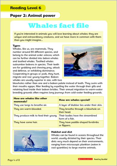 Whales fact file page 1 for level 6
