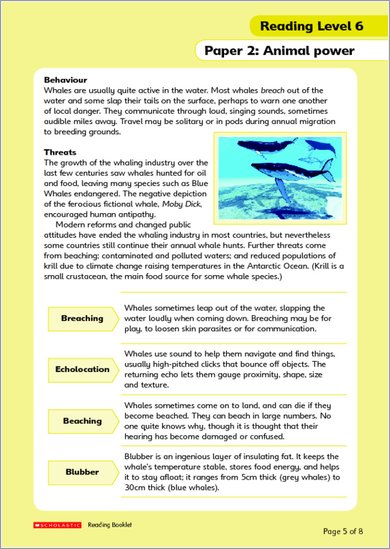 Whales fact file page 2 for level 6