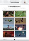 Room on the Broom – What happens next?