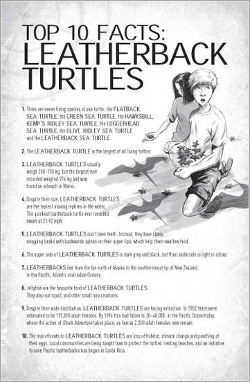 Shark Adventure: Leatherback Turtle Facts