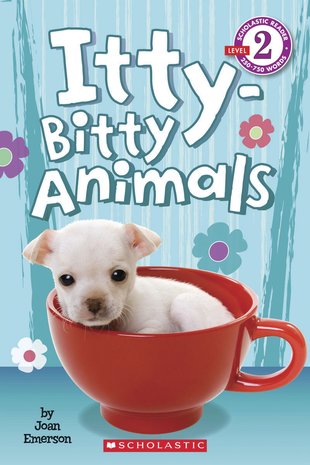 Itty-Bitty Animals