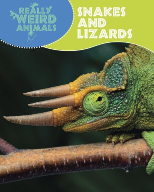 Really Weird Animals: Snakes and Lizards