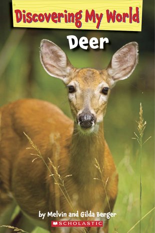 Discovering My World: Deer