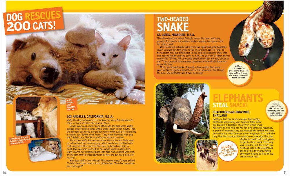 National Geographic Kids 125 True Stories Of Amazing Animals: Inspiring  Tales Of Animal Friendship Four-Legged Heroes, Plus Crazy Animal Antics |  