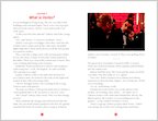 Johnny English Reborn - Sample Chapter (3 pages)