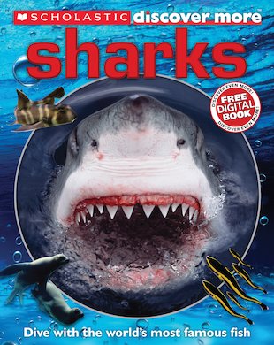 Quick Smarts Sharks Workbook by Scholastic Inc.