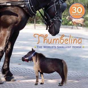 Thumbelina: The World’s Smallest Horse