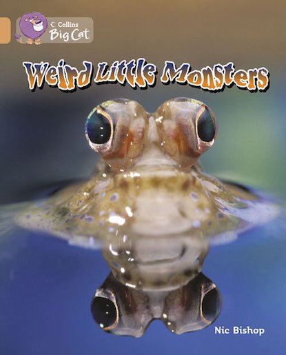 Weird Little Monsters (Book Band Copper)