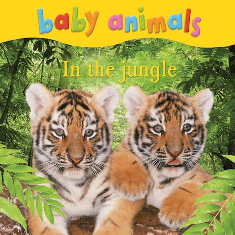 Baby Animals: In the Jungle