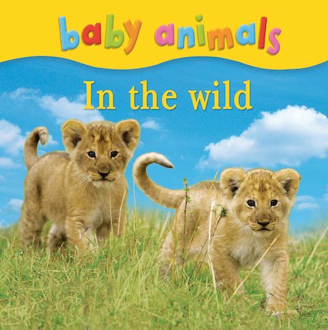 Baby Animals: In the Wild