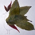 Leaf creature - bird