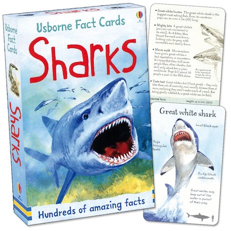 Usborne Fact Cards: Sharks