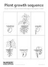 Plant growth sequence