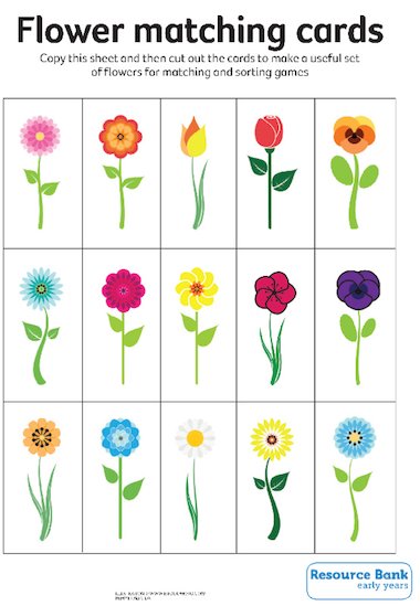 Flower matching cards – Early Years teaching resource - Scholastic