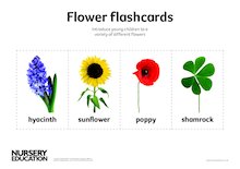 Flower flashcards
