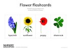 Flower flashcards