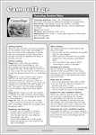 Camouflage - Teachers' Notes (1 page)