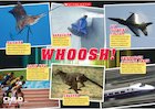 Whoosh! – world record poster