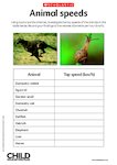 Animal speeds - research activity (1 page)