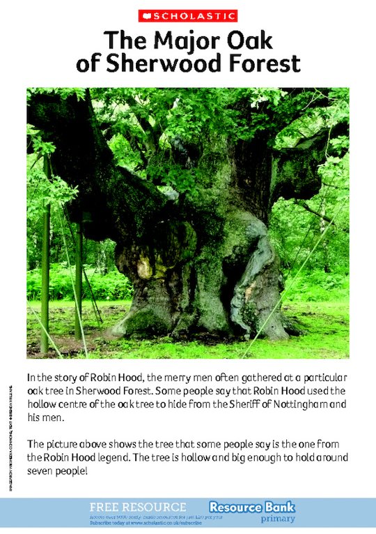 Robin Hood - The Major Oak of Sherwood Forest
