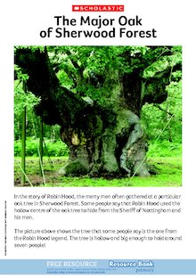 Robin Hood – The Major Oak of Sherwood Forest