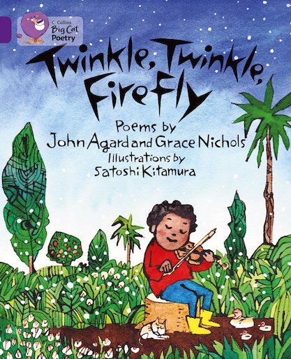 Twinkle, Twinkle, Firefly (Book Band Purple/8)