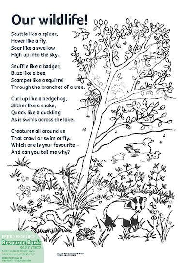 Our wildlife! poem – FREE Early Years teaching resource - Scholastic