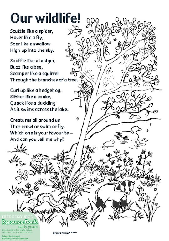 Our wildlife! poem - Scholastic Shop