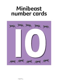 Minibeast number cards